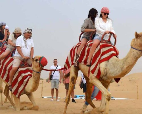 camel-ride-dubai-qe0oewnxu6gob6c9p1210rsm9786mc9pf5u2c88l28
